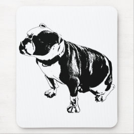 Calm Beneath the Work Muismat