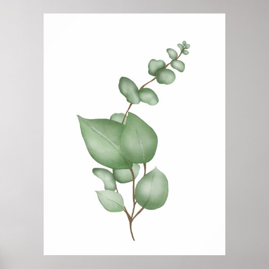 Calm Botanicals Poster – Eucalyptus Leaf Print (Voorkant)