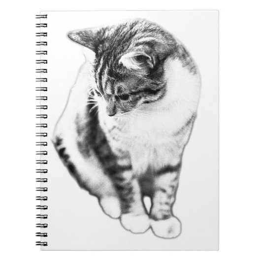 Calm Cat Looking Down Portrait Notitieboek (Voorkant)