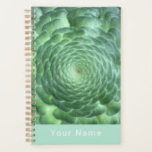 Calm Green Succulent Plant Planner (Voorkant)