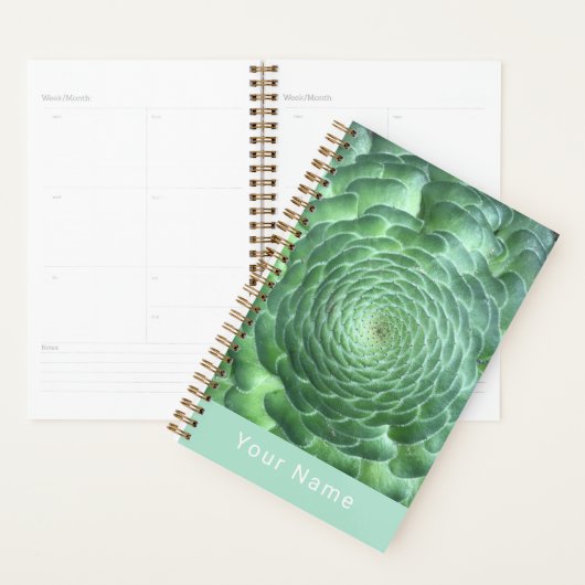 Calm Green Succulent Plant Planner (Display)