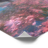Calm Lake Sakura Serenade Poster (Hoek)