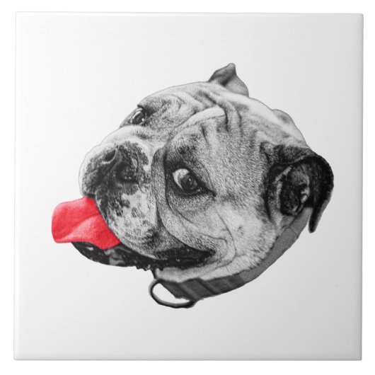 Calm Set with Warmth Tegeltje (Voorkant)