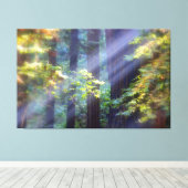 Calming Foggy Forest of Fall Canvas Afdruk (Insitu (Houten vloer))