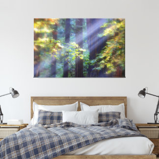 Calming Foggy Forest of Fall Canvas Afdruk