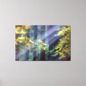Calming Foggy Forest of Fall Canvas Afdruk (Voorkant)