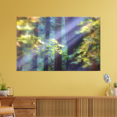 Calming Foggy Forest of Fall Canvas Afdruk (Insitu (Woonkamer))