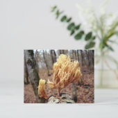 Calocera viscosa Briefkaart (Staand voorkant)