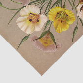 Calochorti Spec. Div. van Arentina Arendsen Tissuepapier (Detail)