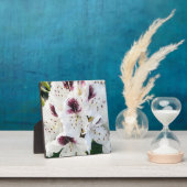 Calsap Rhododendrons Fotoplaat (Insitu)