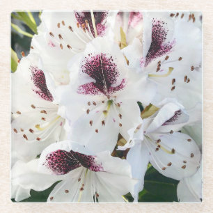 Calsap Rhododendrons Glazen Onderzetter