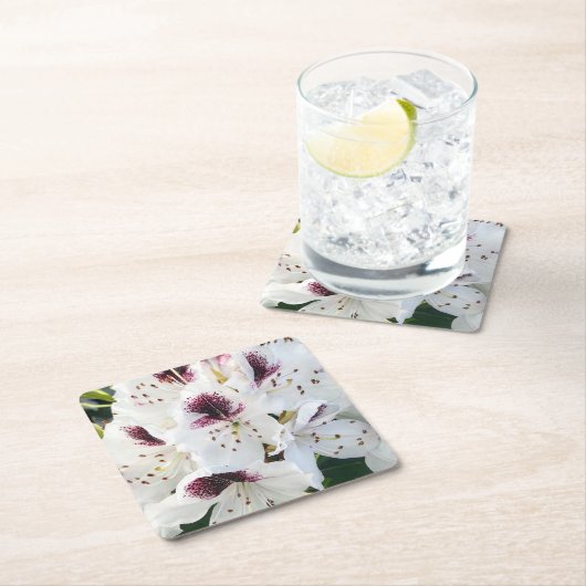 Calsap Rhododendrons Kartonnen Onderzetters (Insitu)