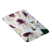 Calsap Rhododendrons Magneet (Rechterzijde)