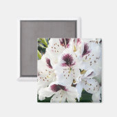 Calsap Rhododendrons Magneet (Voorkant / Achterkant)