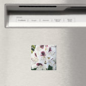 Calsap Rhododendrons Magneet (Insitu (Vaatwasser))