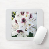 Calsap Rhododendrons Muismat (Met muis)