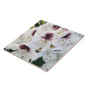 Calsap Rhododendrons Tegeltje (Zijkant)