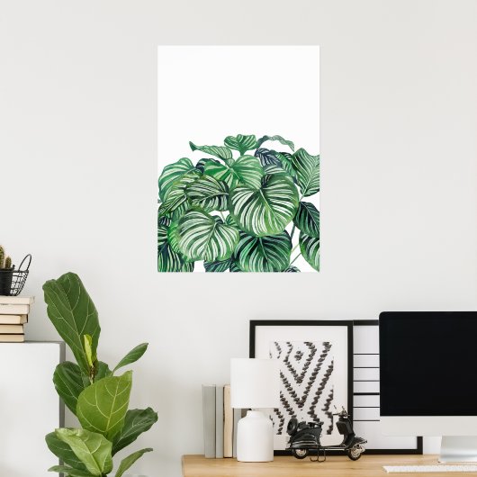 Calthea Orbifolia Poster (Thuiskantoor)