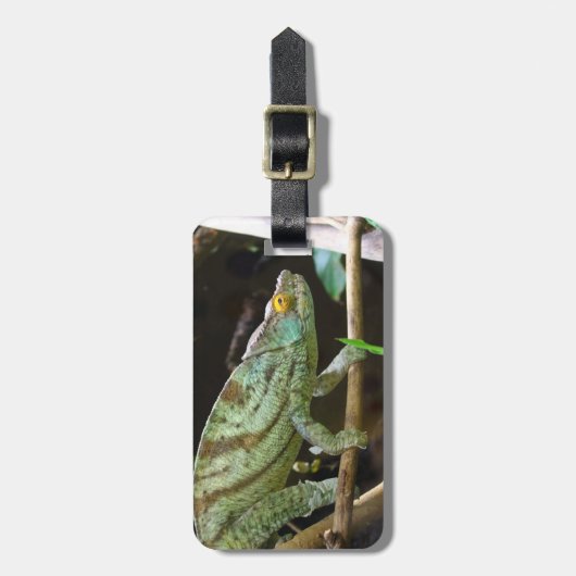 Calumma Parsonii Bagagelabel (Voorkant verticaal)