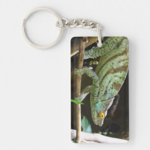 Calumma Parsonii Sleutelhanger