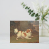 Calvalier King Charles Spaniel Painting Briefkaart (Staand voorkant)
