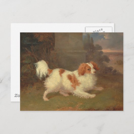  Calvalier King Charles Spaniel Painting Briefkaart (Voorkant / Achterkant)