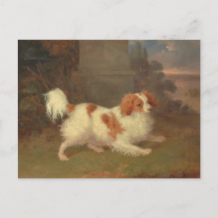 Calvalier King Charles Spaniel Painting Briefkaart