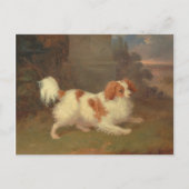  Calvalier King Charles Spaniel Painting Briefkaart (Voorkant)