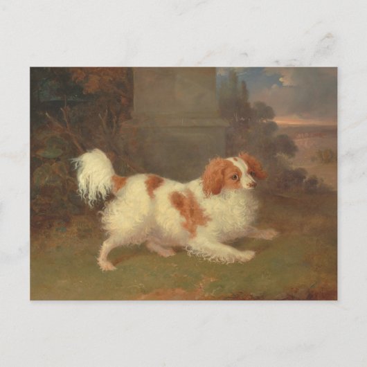 Calvalier King Charles Spaniel Painting Briefkaart (Voorkant)