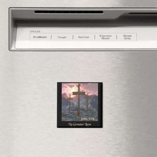 Calvarium Magneet (Insitu (Vaatwasser))