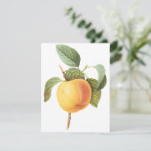 Calville-appel van Pierre Redoute Uitnodiging (Staand voorkant)