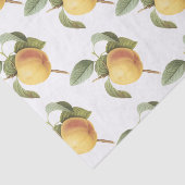 Calville-appelpatroon Tissuepapier (Detail)