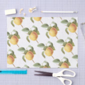 Calville-appelpatroon Tissuepapier (Craft)