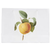 Calville apple (Malus sp.) van Redouté Groot Cadeauzakje (Achterkant)