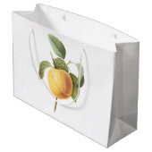 Calville apple (Malus sp.) van Redouté Groot Cadeauzakje (Achterkant Gekanteld)