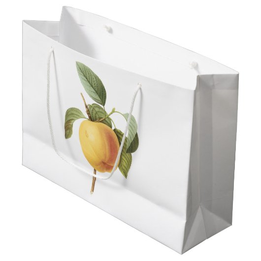 Calville apple (Malus sp.) van Redouté Groot Cadeauzakje (Voorkant Gekanteld)