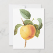 Calville Apple van Pierre Redoute Uitnodiging (Voorkant)