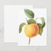 Calville Apple van Pierre Redoute Uitnodiging (Voorkant / Achterkant)