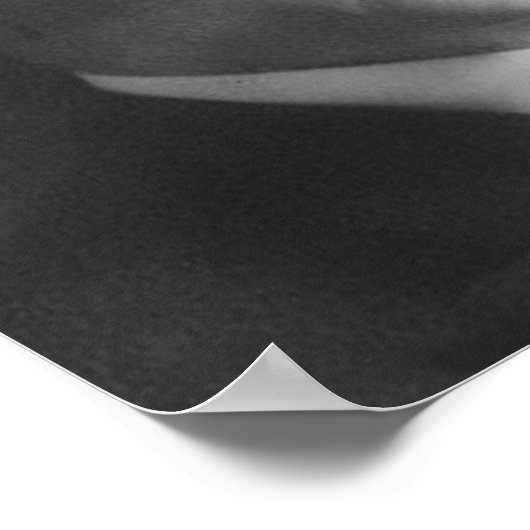 Calvin Coolidge Poster (Hoek)