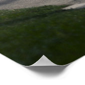 Calvin is 370z poster (Hoek)