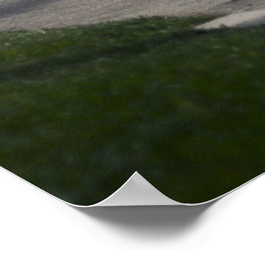 Calvin is 370z poster (Hoek)