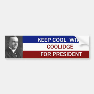 Calvin-kolide voor President Bumpersticker