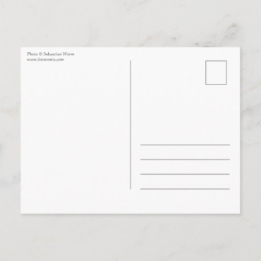 Calw Schwarzwald Briefkaart (Achterkant)