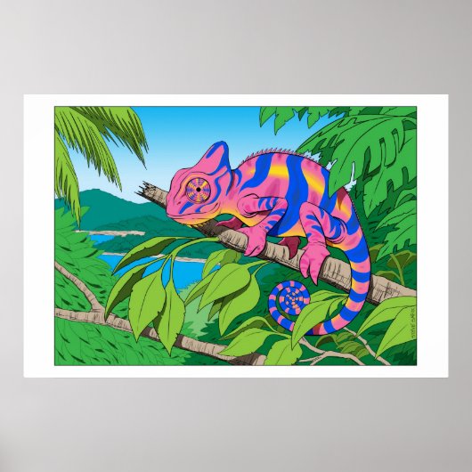 calypso poster (Voorkant)