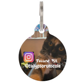 Calypso's Pet Tag op Ato 8-10 door HCH Huisdierpenning