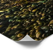 Camano Island State Park Editable Text and Photo Poster (Hoek)