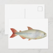 Camapuã Briefkaart (Voorkant / Achterkant)