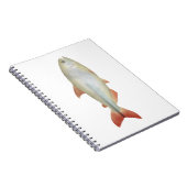 Camapuã Notitieboek (Rechterzijde)