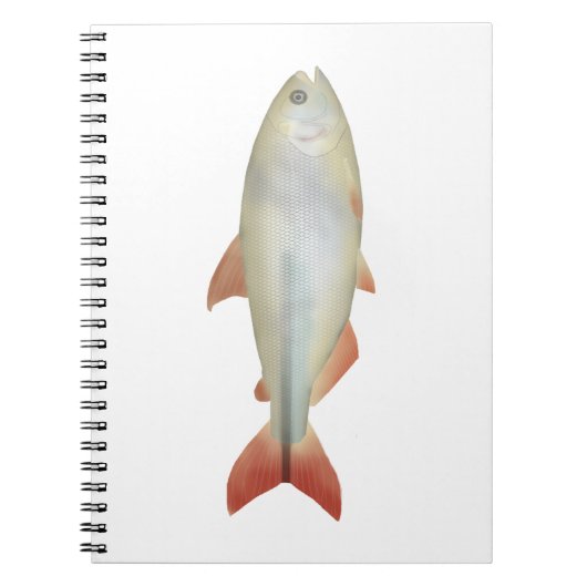 Camapuã Notitieboek (Voorkant)