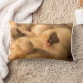 Camaraderie Kussen (Deken)